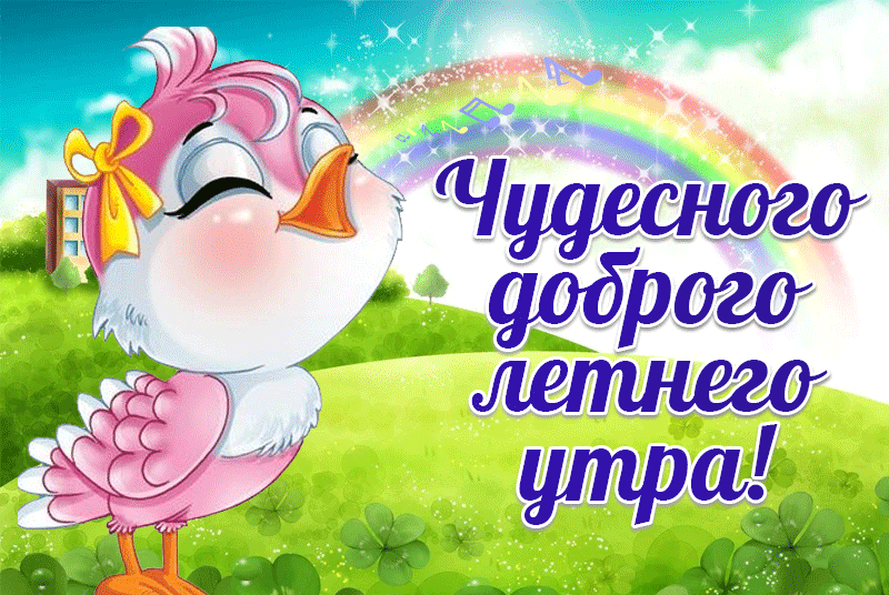 Очень красивая gif картинка чудесного доброго летнего утра с птичкой!