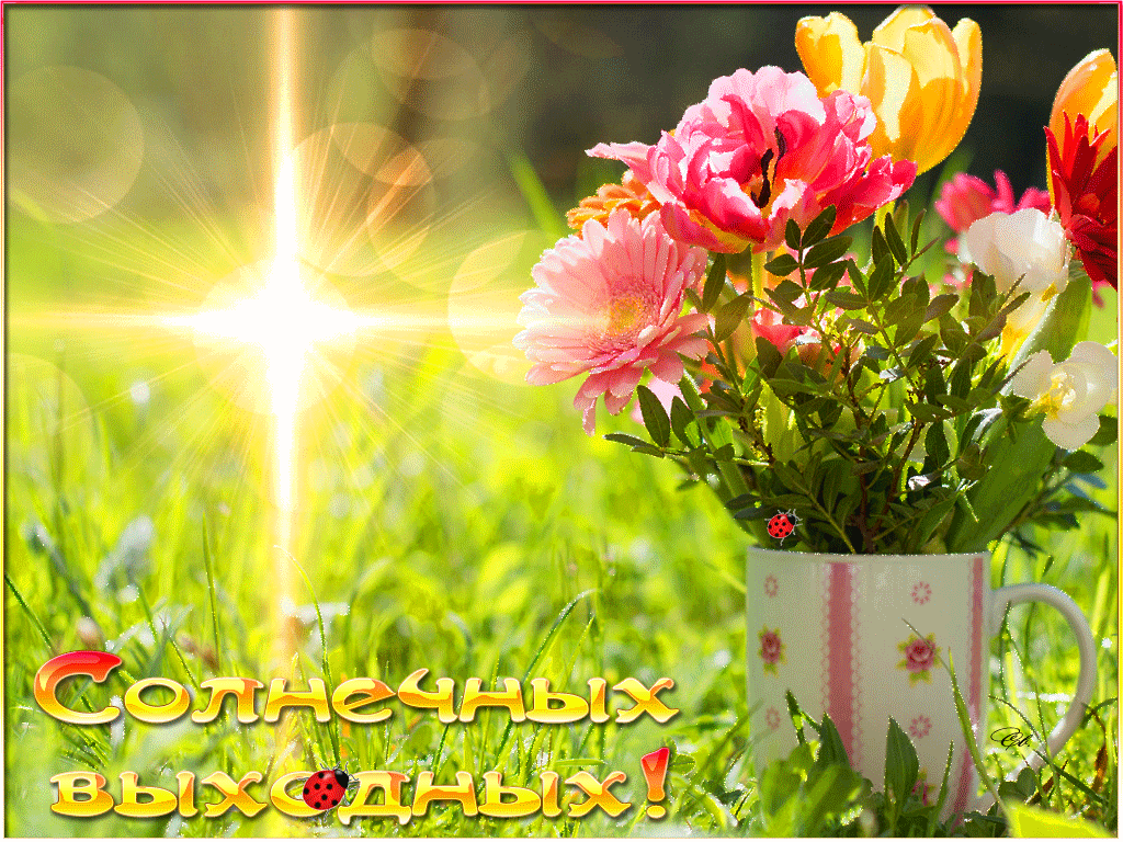 Гифка солнечных выходных!
