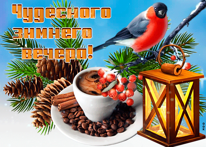 Прикольная гифка с пожеланием чудесного зимнего вечера.