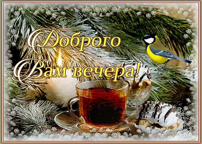 Гиф картинка с пожеланием доброго зимнего вечера.