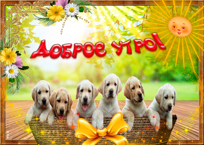 Доброе утро картинки позитивные
