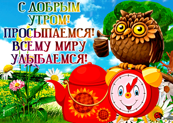 Доброе утро картинки позитивные