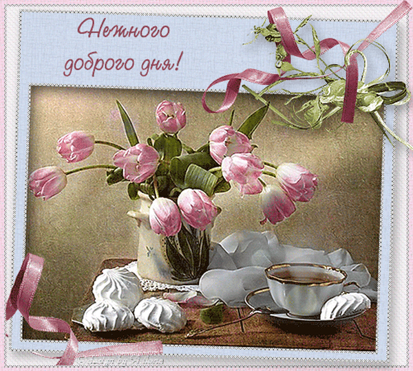 Анимация с пожеланием нежного доброго майского дня с тюльпанами!