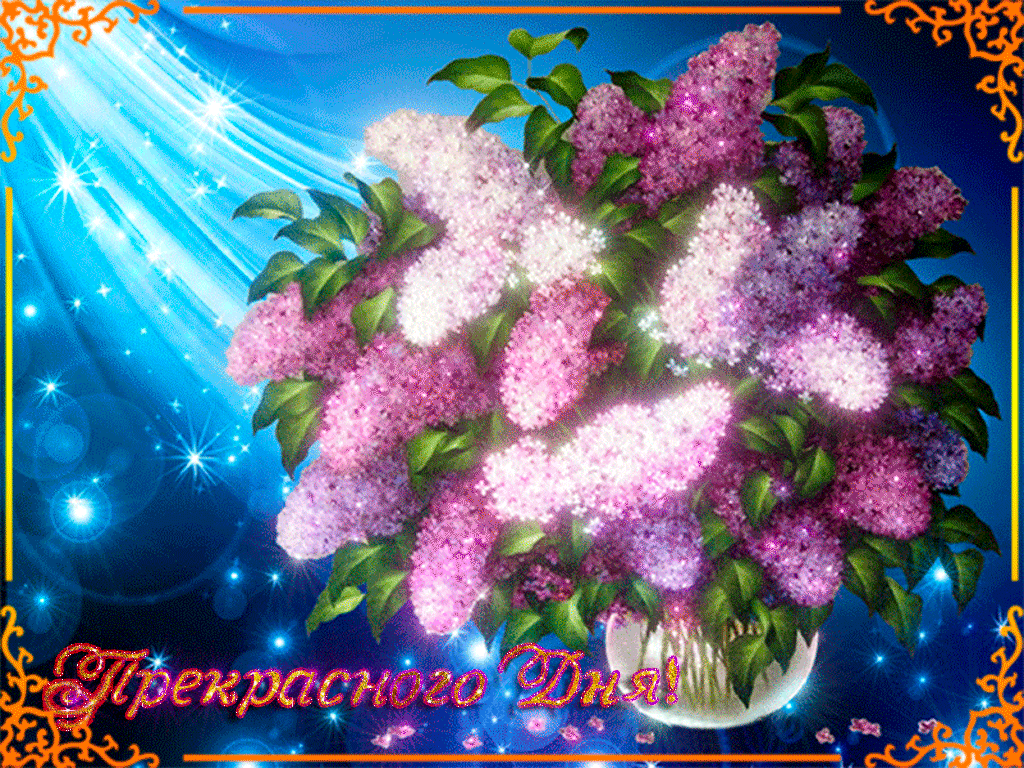 Красивая картинка, открытка с букетом сирени и пожеланием прекрасного весеннего, майского дня!