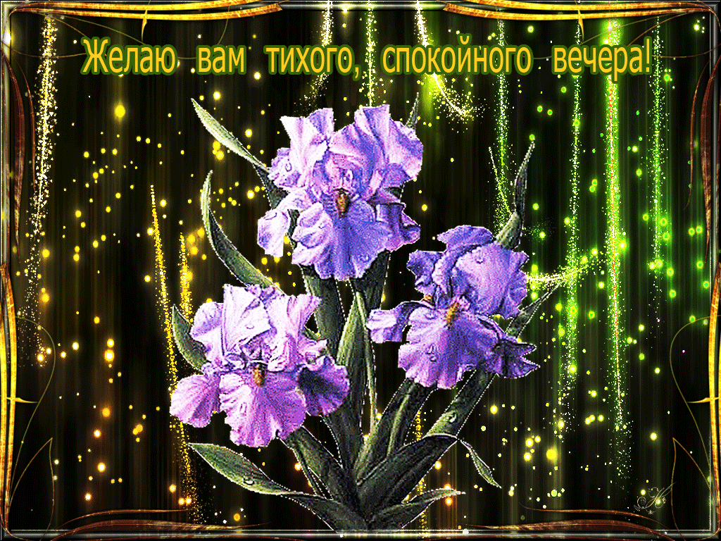 Gif открытка с цветами и пожеланием тихого, спокойного майского вечера!