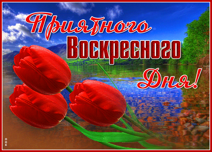Открытка с пожеланием приятного весеннего воскресного дня с красными тюльпанами!