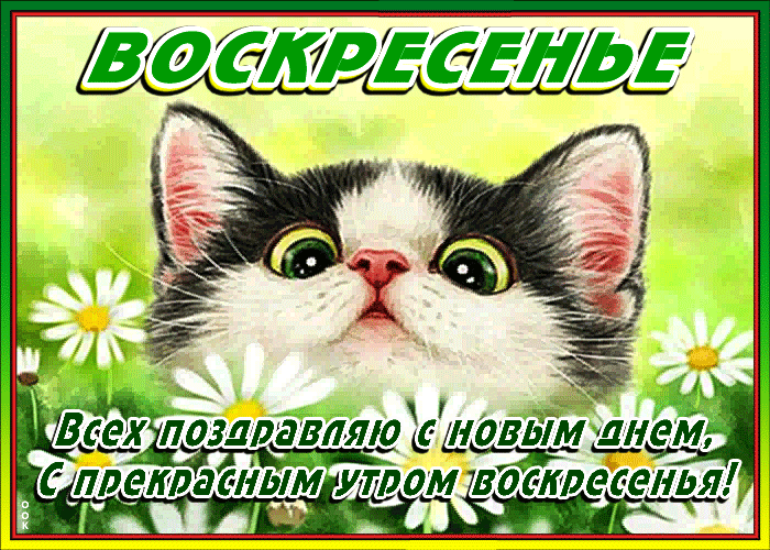 Анимация с пожеланием прекрасного весеннего воскресного утра!