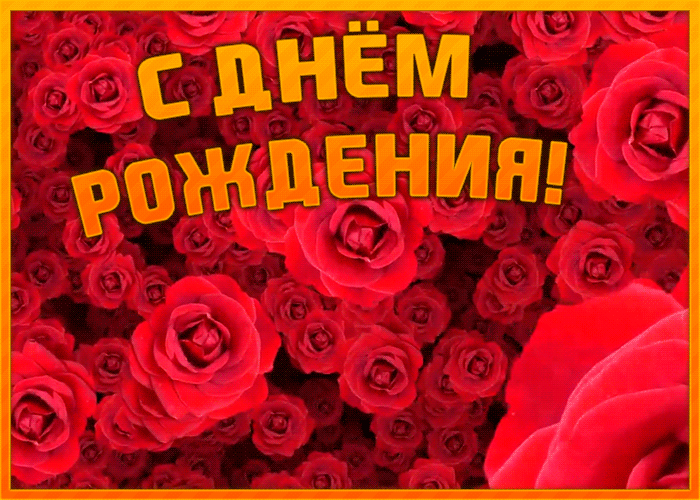 Поздравительная открытка с днем рождения женщине с морем красных роз! Поздравительная открытка с днем рождения женщине с морем красных роз!