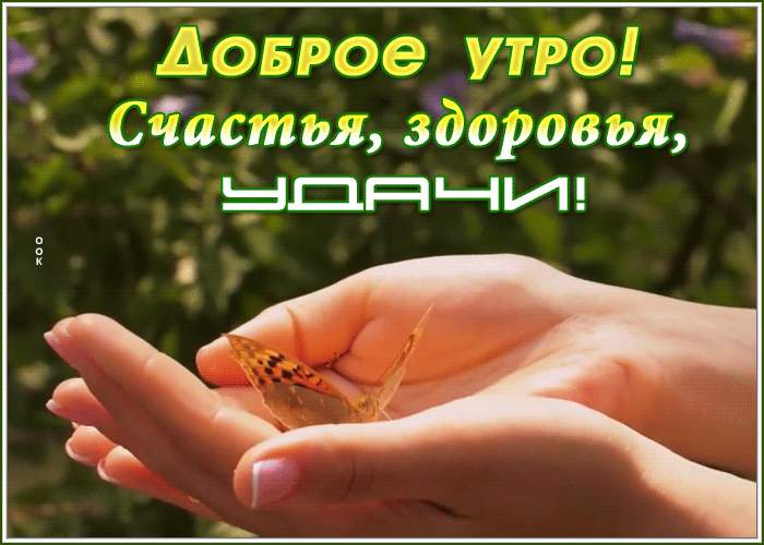 Картинки с добрым утром и хорошего дня красивые Картинки с добрым утром и хорошего дня красивые