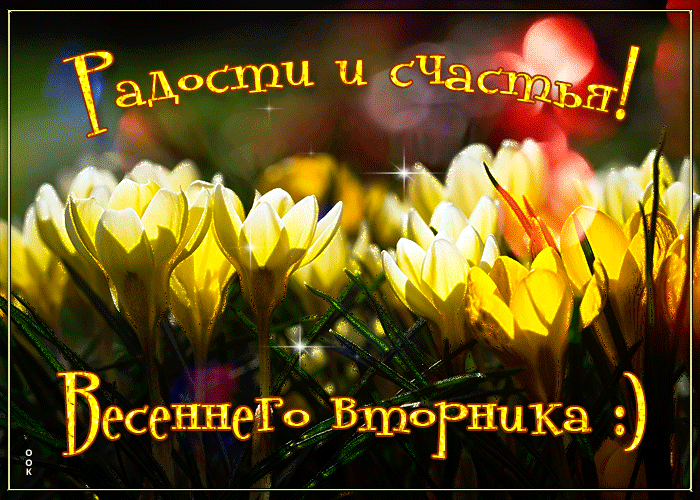 Открытка с пожеланием хорошего весеннего вторника, радости и счастья!