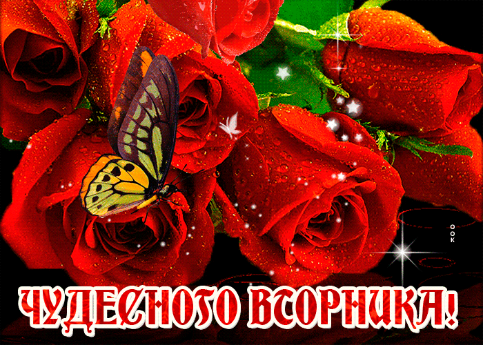 Открытка желаю успешного и чудесного весеннего вторника