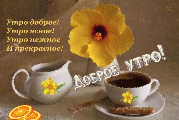 Пожелания с добрым утром анимационные. Утро доброе утро ясное утро нежное и прекрасное!