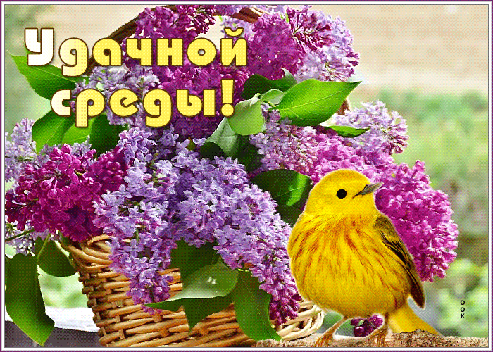 Весенняя открытка со средой с цветами, желаю удачной среды! Весенняя открытка со средой с цветами, желаю удачной среды!