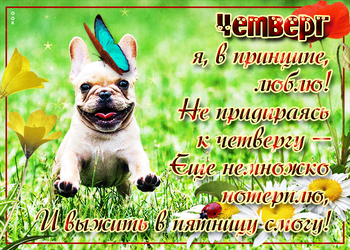 Забавная весенняя открытка с четвергом Забавная весенняя открытка с четвергом
