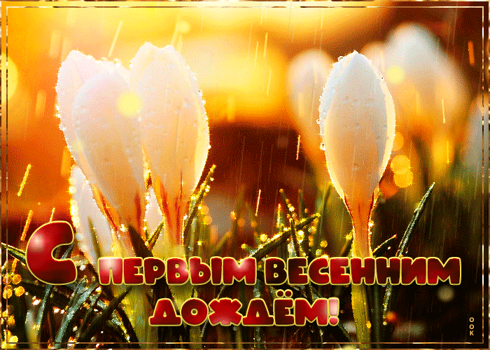 Открытка с первым весенним дождем