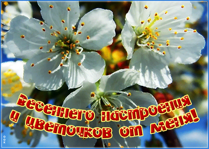 Картинка весна с пожеланиями хорошего настроения и цветочков от меня!