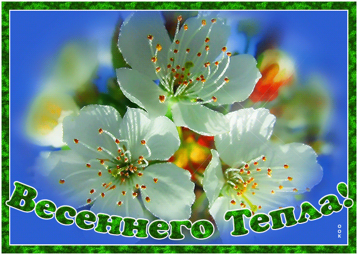 Весна время радости гиф