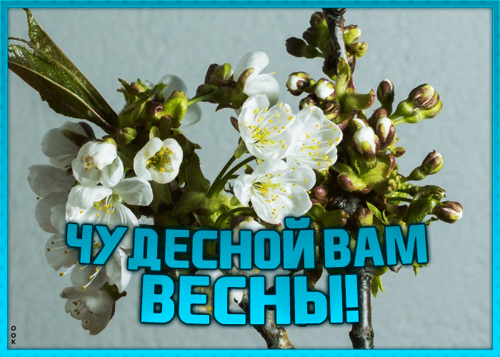 Картинка желаю чудесной весны