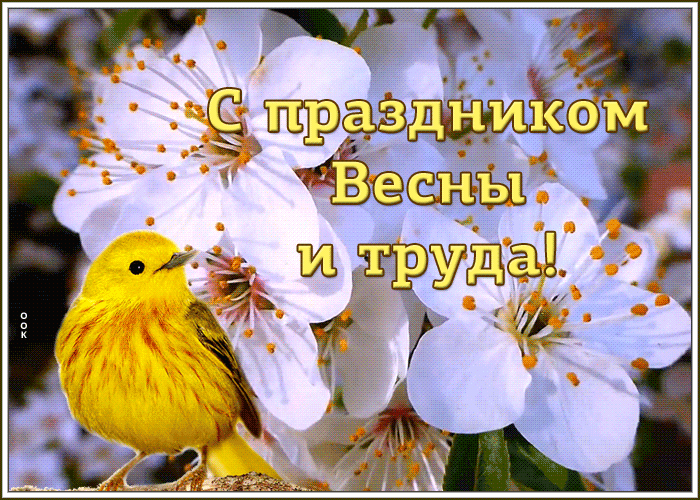 Нежная открытка с праздником весны и труда Нежная открытка с праздником весны и труда