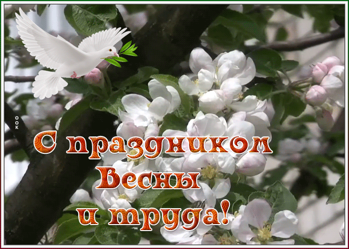 Открытка с 1 мая с природой Открытка с 1 мая с природой