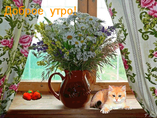 Открытки доброе утро 2022 Открытки доброе утро 2022