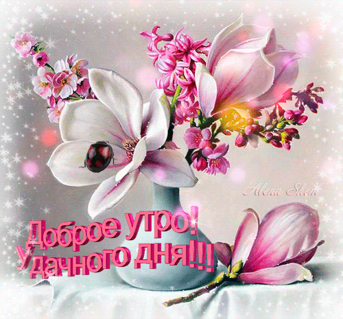 Нежная открытка с пожеланием доброго утра и удачного дня с букетом цветов! Открытки доброе утро 2022 Нежная открытка с пожеланием доброго утра и удачного дня с букетом цветов! Открытки доброе утро 2022