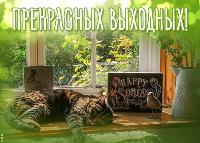 Яркая открытка с пожеланием прекрасных летних выходных Яркая открытка с пожеланием прекрасных летних выходных