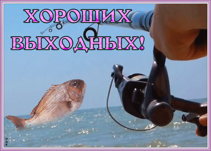 Летняя картинка хороших выходных с рыбалкой Летняя картинка хороших выходных с рыбалкой
