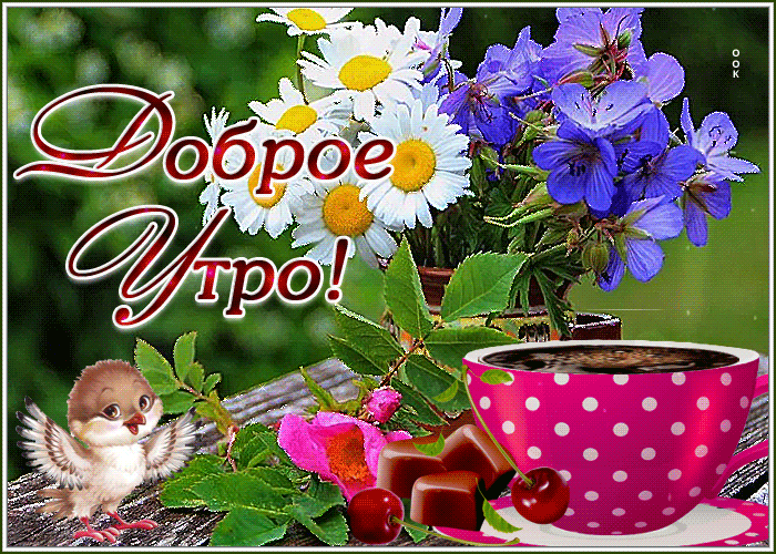 Открытка доброе летнее утро с ромашками
