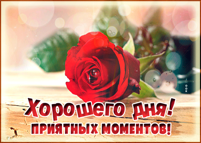 Красивая анимационная картинка с пожеланием хорошего дня с розой Красивая анимационная картинка с пожеланием хорошего дня с розой