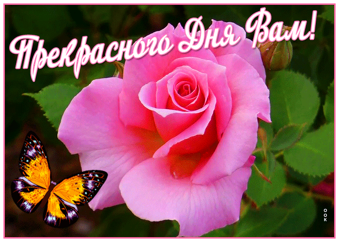 Красочная весенняя открытка с пожеланием прекрасного дня! Красочная весенняя открытка с пожеланием прекрасного дня!