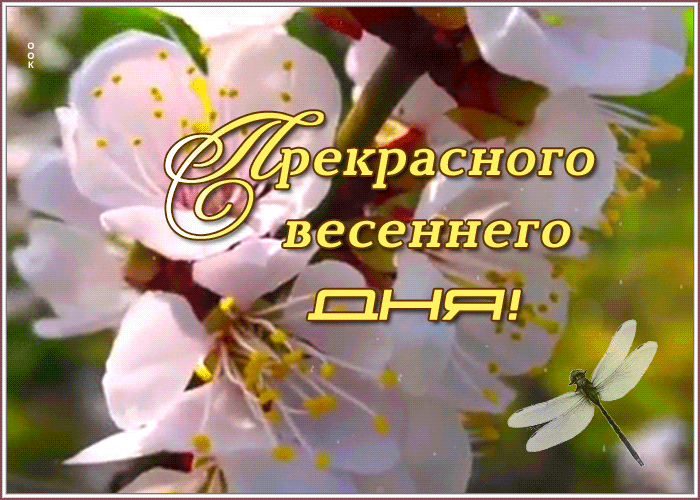 Открытка с пожеланием прекрасного, чудесного и незабываемого весеннего дня Открытка с пожеланием прекрасного, чудесного и незабываемого весеннего дня