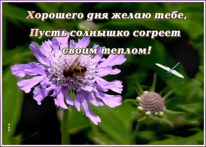 Прикольная картинка хорошего дня с добрыми пожеланиями Прикольная картинка хорошего дня с добрыми пожеланиями
