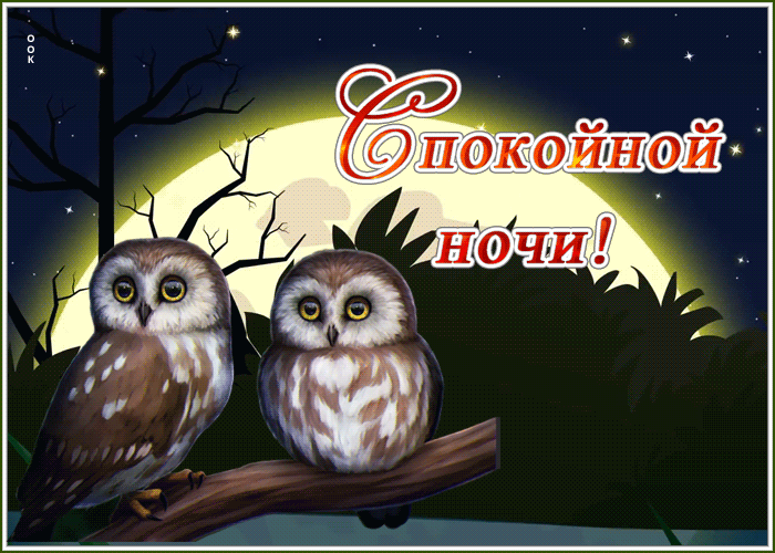 Блестящая картинка с пожеланием спокойной ночи с совами! Блестящая картинка с пожеланием спокойной ночи с совами!