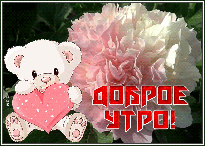 Милая картинка доброе утро