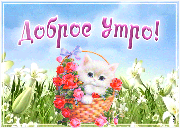 Красивая анимация с добрым утром