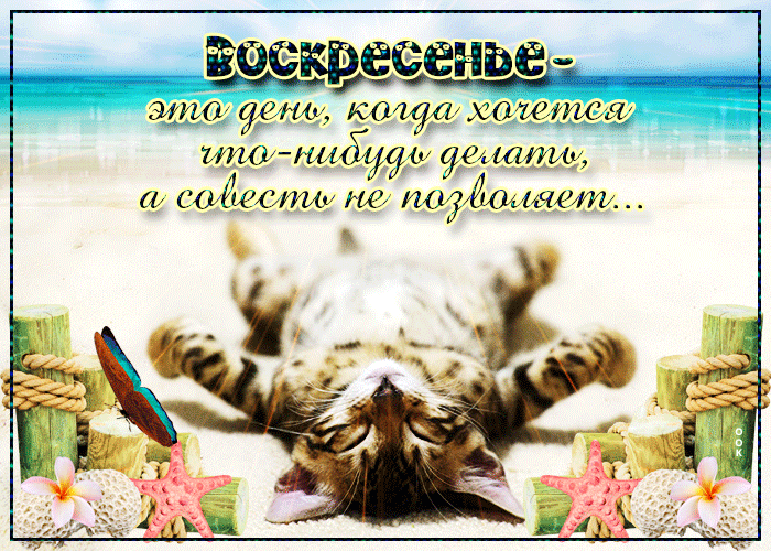 Прикольная гифка с пожеланием доброго утра в Воскресенье!