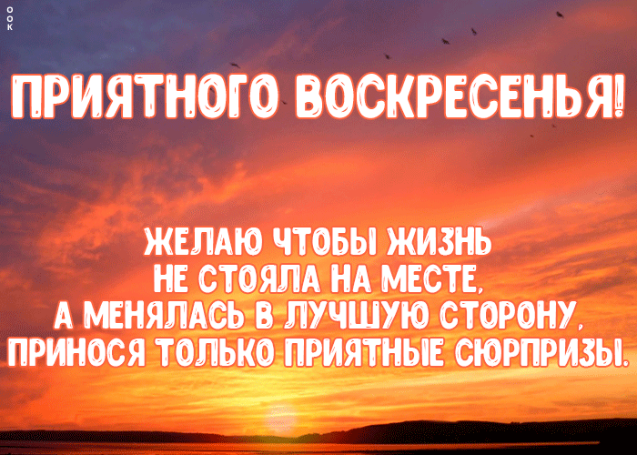 Прикольная gif открытка с пожеланием приятного Воскресенья в прозе!
