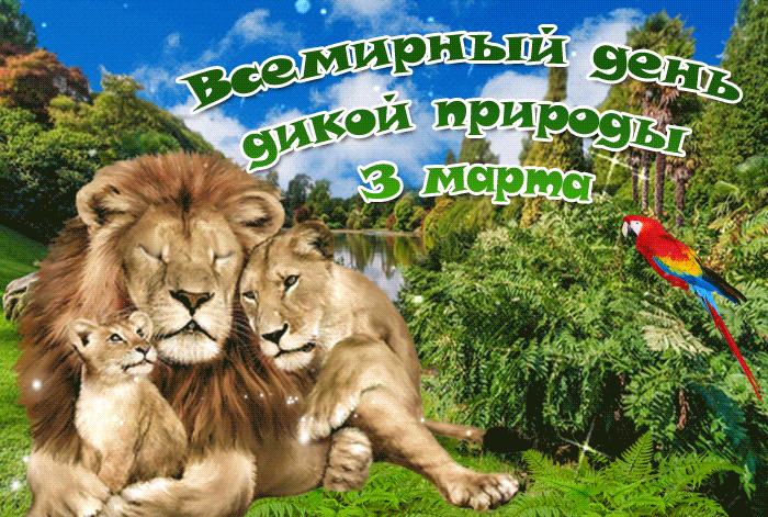 Красивая мерцающая картинка, открытка Всемирный день дикой природы 3 марта. Красивая мерцающая картинка, открытка Всемирный день дикой природы 3 марта.