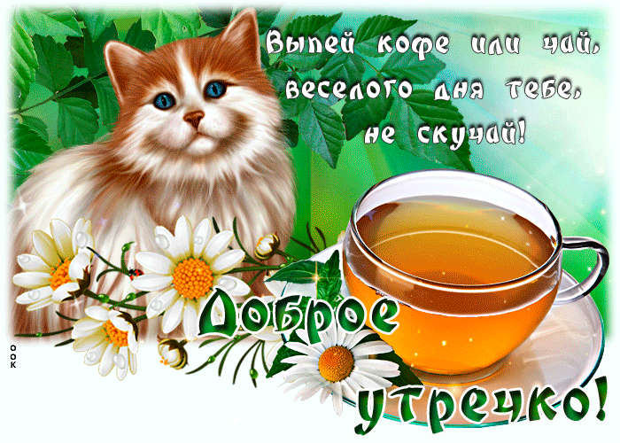 Открытка доброе утро, веселого дня Открытка доброе утро, веселого дня