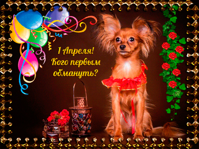 Прикольная гифка на 1 апреля с собакой!