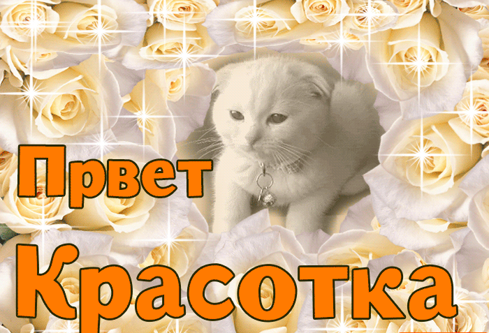 Мерцающая картинка привет красотка Мерцающая картинка привет красотка