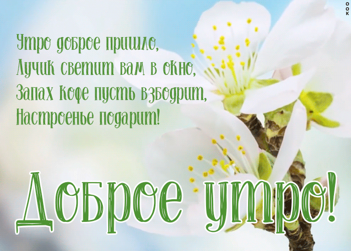 Анимационная gif открытка пусть это доброе утро подарит настроение