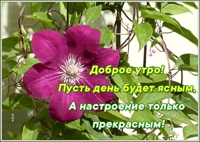 Анимированная открытка с добрым утром и хорошего настроения