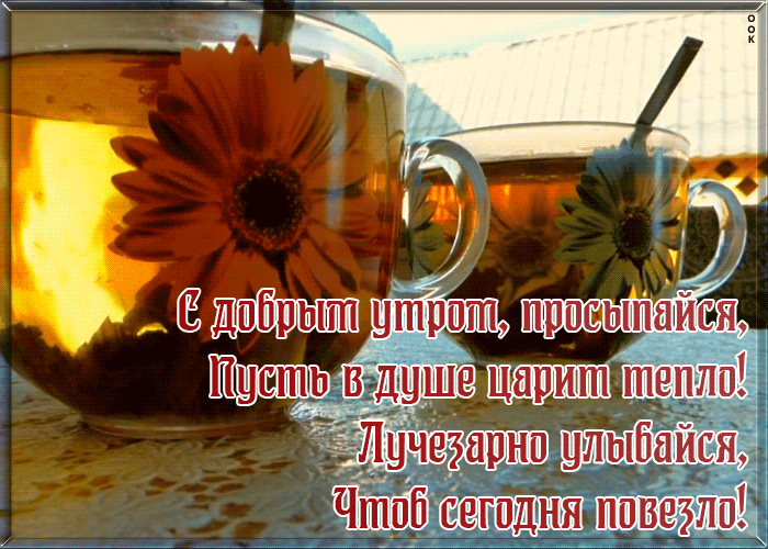 Открытка доброе утро с надписью и пожеланиями в прозе!