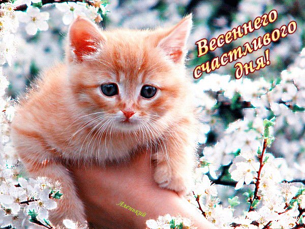 Гиф картинка весеннего счастливого дня!