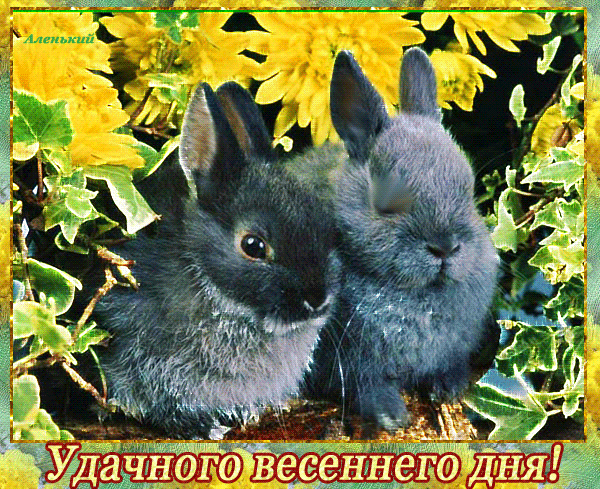 Гифка удачного весеннего дня!