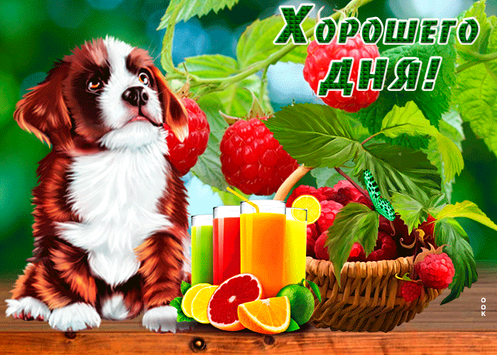 Трогательная открытка с пожеланием хорошего дня!