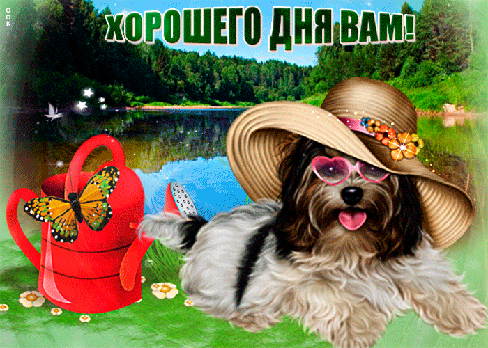 Дивная гиф открытка хорошего дня