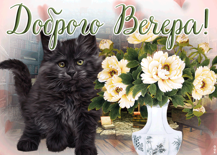 Отличная открытка добрый вечер